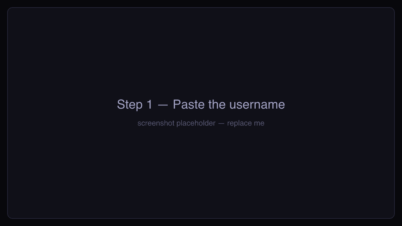 Pasting a public Instagram username into the anonymous story viewer